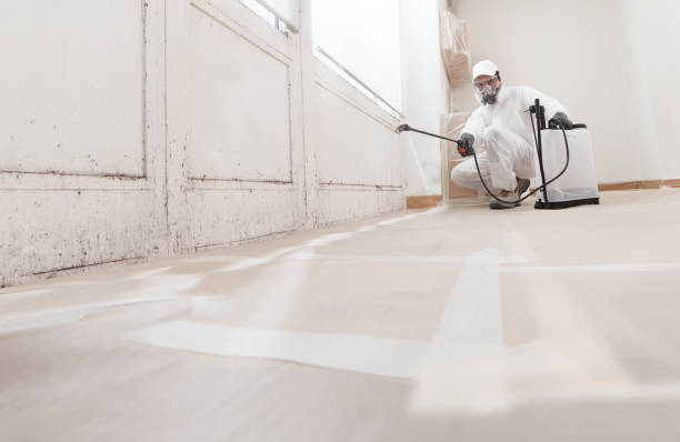 24/7 Emergency Basement Mold Remediation experts in Roseland, NJ